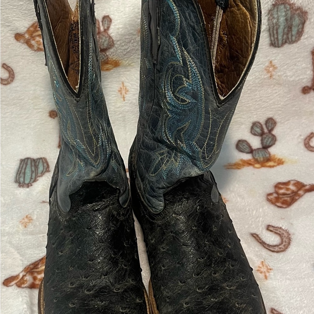 Men's Black and Blue Ostrich Leather Boots